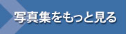 もっとフォトギャラリーを見る