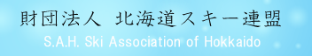 �k�C���X�L�[�A��